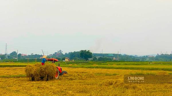 Đất nông nghiệp bị thu hồi có thể được bồi thường nhà ở