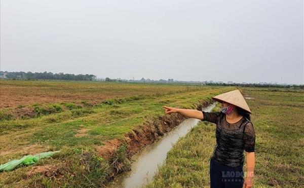 Thủ tục chuyển đất nông nghiệp lên đất thổ cư theo Luật mới