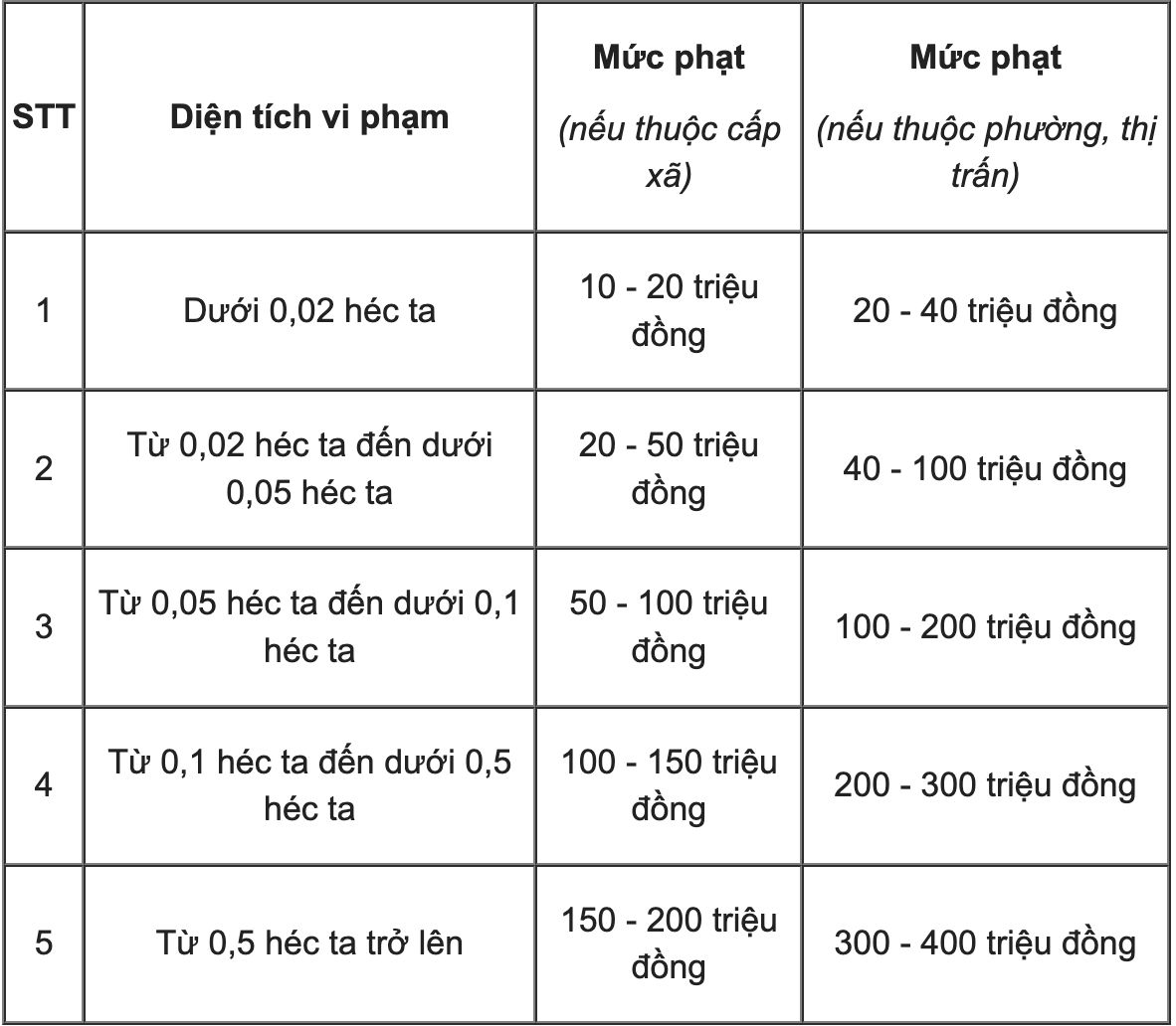 Mức phạt về việc xây nhà tạm trên đất trồng cây lâu năm. Ảnh: Phong Anh