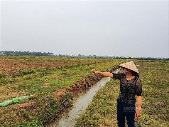 Bên cạnh một số điểm chung về hồ sơ, thủ tục thì sang tên đất nông nghiệp có điểm khác biệt về điều kiện nhận chuyển nhượng, nhận tặng cho. Ảnh minh họa: Phan Anh